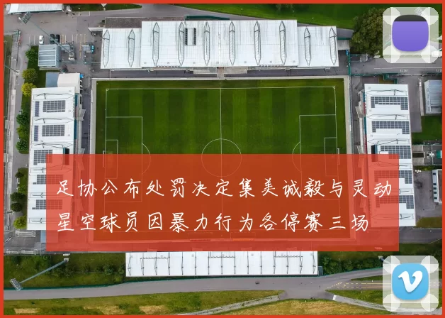 足协公布处罚决定集美诚毅与灵动星空球员因暴力行为各停赛三场